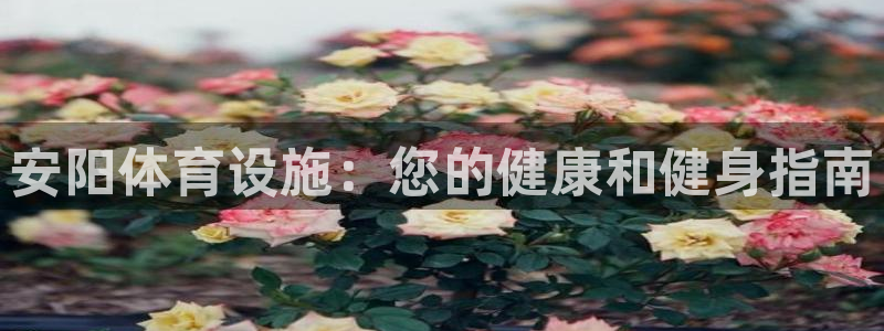 意昂3代理：安阳体育设施：您的健康和健身指南