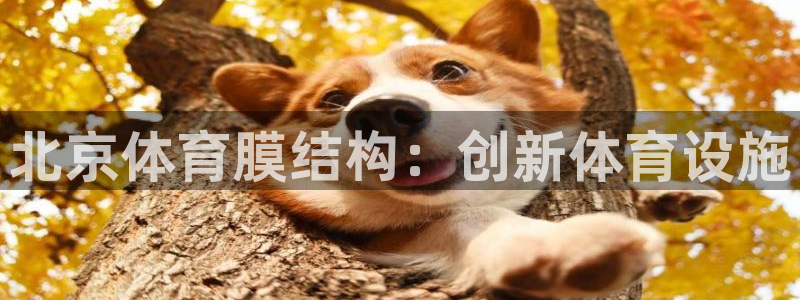 意昂体育3招商电话是多少啊：北京体育膜结构：创新体育