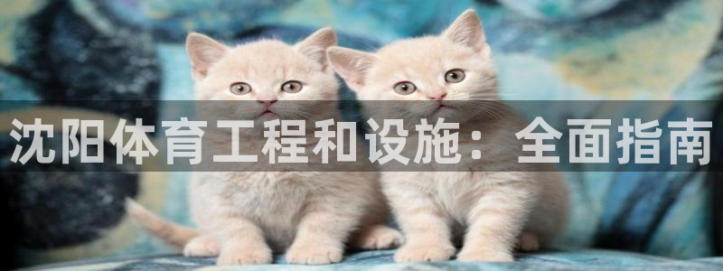 意昂体育3招商电话号码：沈阳体育工程和设施：全面指南