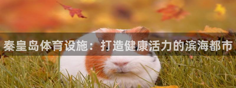 意昂体育3平台是正规平台吗：秦皇岛体育设施：打造健康