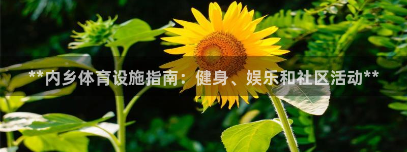 意昂体育3平台：**内乡体育设施指南：健身、娱乐和社