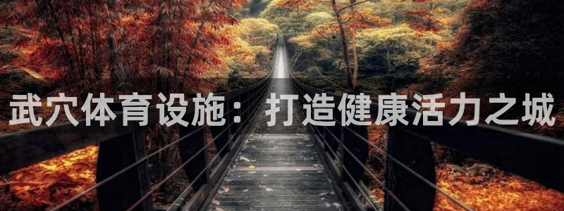 意昂体育3招商电话地址查询：武穴体育设施：打造健康活