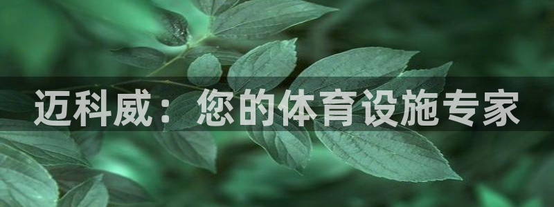意昂体育3招商电话地址是多少：迈科威：您的体育设施专