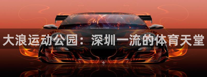 意昂3科技：大浪运动公园：深圳一流的体育天堂