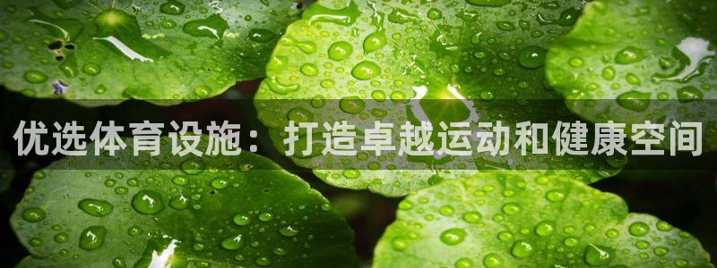 意昂3代理：优选体育设施：打造卓越运动和健康空间