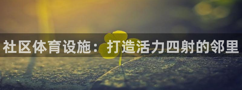 意昂体育3平台是正规平台吗安全吗：社区体育设施：打造