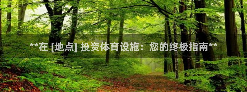 意昂3新能源：**在 [地点] 投资体育设施：您的终