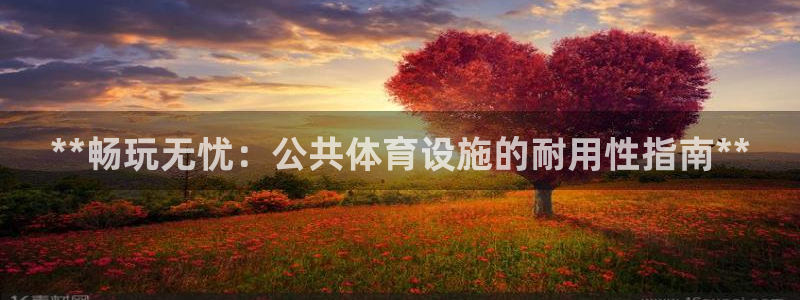 意昂3娱乐代理怎么样：**畅玩无忧：公共体育设施的耐