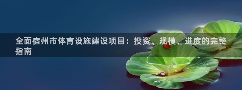 意昂体育3招商电话地址是多少：全面宿州市体育设施建设