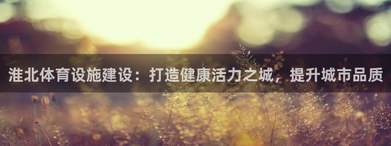 意昂体育3：淮北体育设施建设：打造健康活力之城，提升