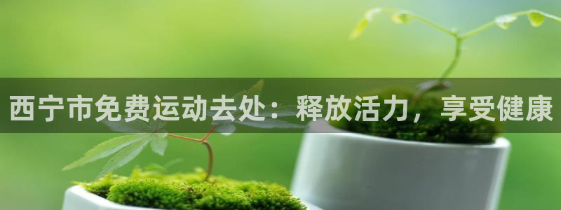 意昂3科技：西宁市免费运动去处：释放活力，享受健康