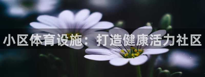 意昂体育3招商电话是多少号码：小区体育设施：打造健康