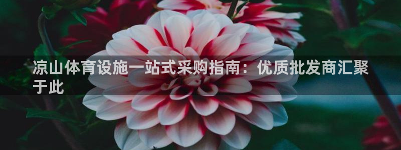 海南意昂体育3发展怎么样：凉山体育设施一站式采购指南