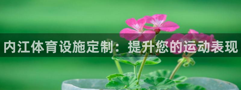 意昂体育3平台：内江体育设施定制：提升您的运动表现