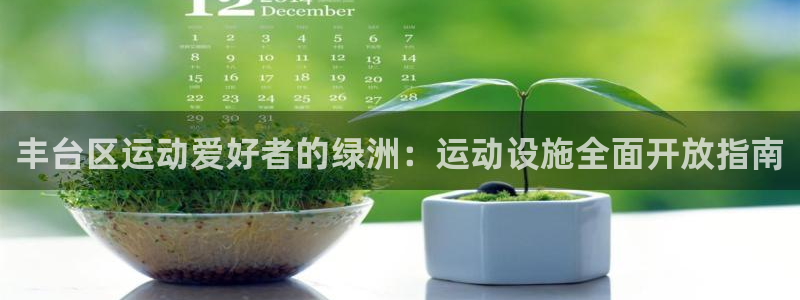 意昂3官方：丰台区运动爱好者的绿洲：运动设施全面开放