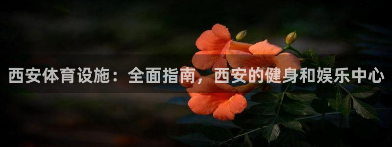 意昂体育3是干嘛的公司：西安体育设施：全面指南，西安