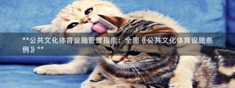 意昂体育3招商电话号码是多少啊：**公共文化体育设施