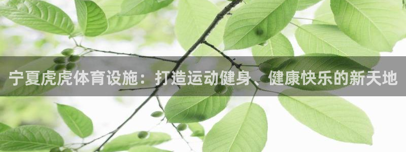 意昂体育3平台注册流程视频：宁夏虎虎体育设施：打造运