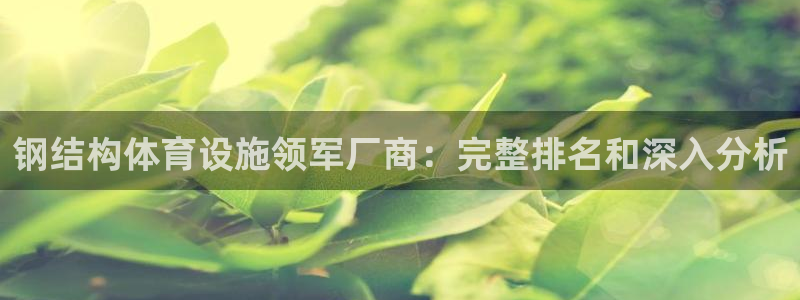 意昂3代理：钢结构体育设施领军厂商：完整排名和深入分