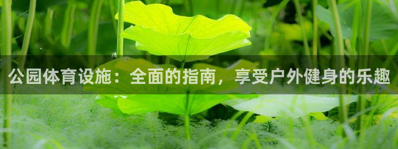 意昂体育3平台是正规平台吗安全吗：公园体育设施：全面