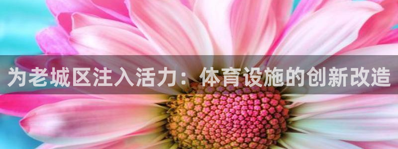 意昂体育3软件：为老城区注入活力：体育设施的创新改造