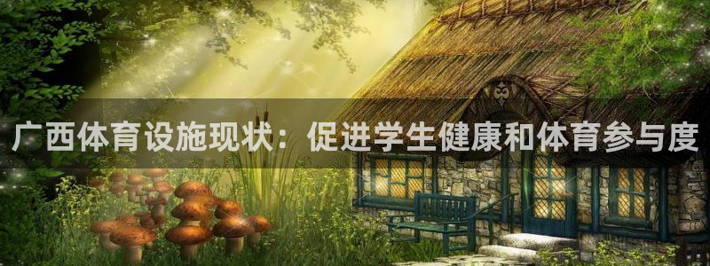 意昂体育3官方客服电话：广西体育设施现状：促进学生健