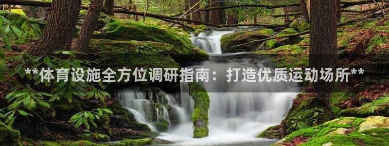 意昂3集团官网首页网址：**体育设施全方位调研指南：