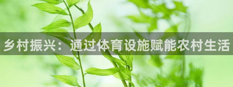 意昂3新能源：乡村振兴：通过体育设施赋能农村生活