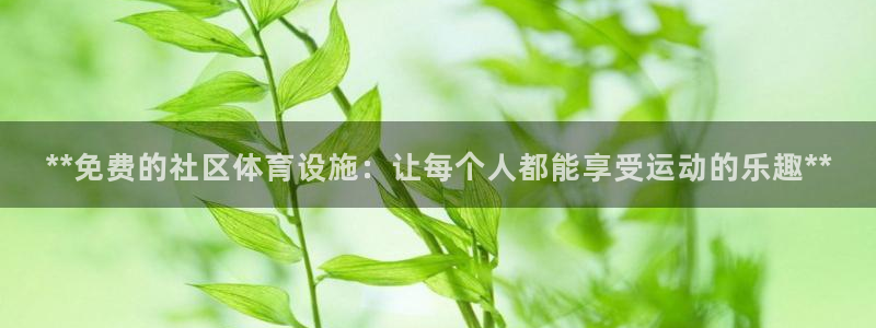 意昂体育3招商电话：**免费的社区体育设施：让每个人