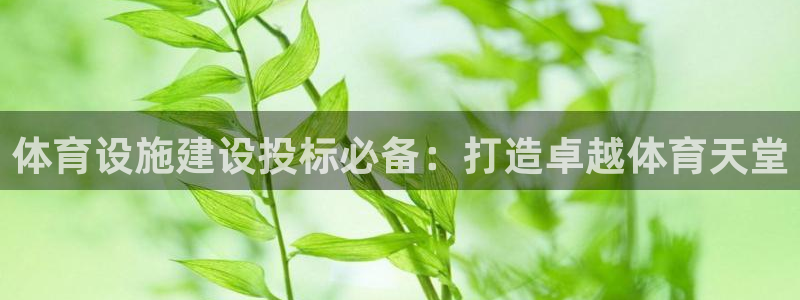 意昂3娱乐下载：体育设施建设投标必备：打造卓越体育天