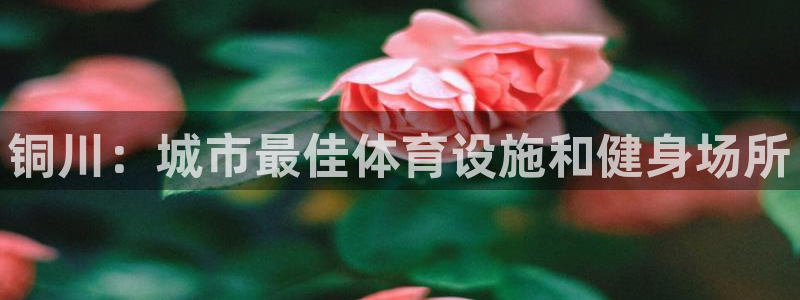 意昂3娱乐平台：铜川：城市最佳体育设施和健身场所
