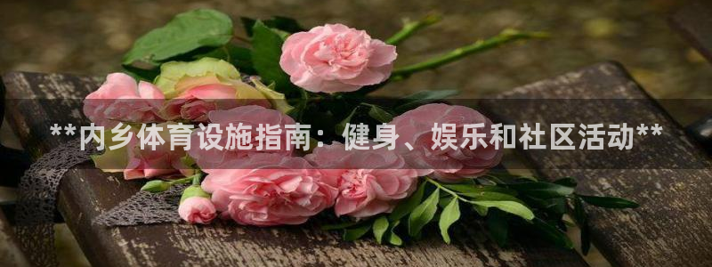 意昂体育3平台假的吗是真的吗吗：**内乡体育设施指南