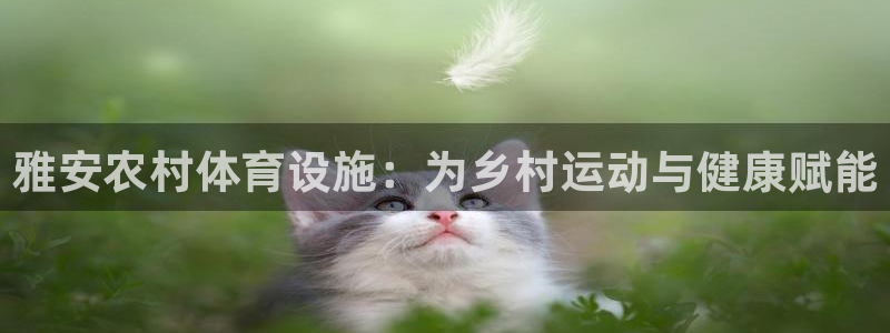 意昂3集团：雅安农村体育设施：为乡村运动与健康赋能
