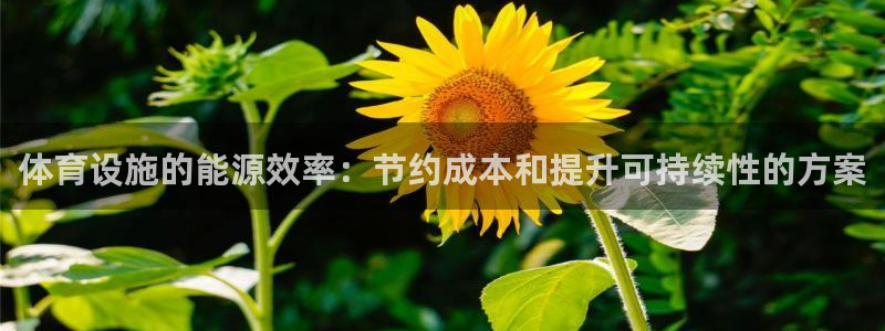 意昂3集团：体育设施的能源效率：节约成本和提升可持续