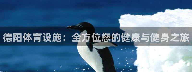 意昂体育3招商电话地址：德阳体育设施：全方位您的健康