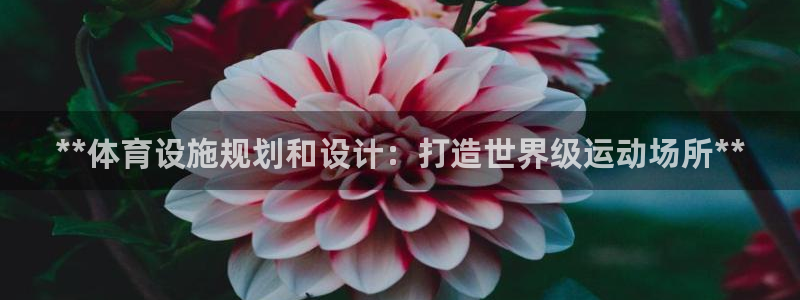 意昂3娱乐首页官网下载