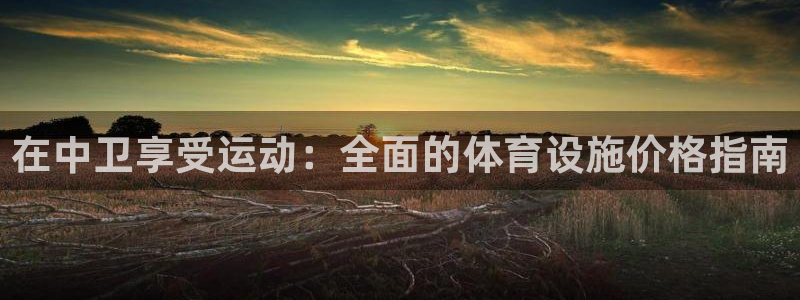 海南意昂体育3发展怎么样：在中卫享受运动：全面的体育