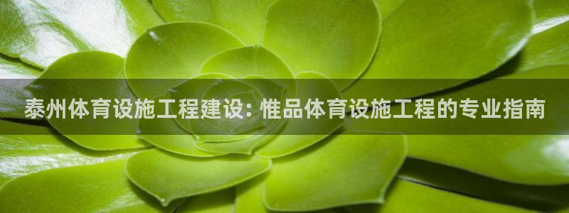 意昂体育3注册：泰州体育设施工程建设: 惟品体育设施