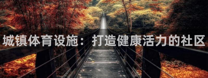 意昂体育3平台APP：城镇体育设施：打造健康活力的社