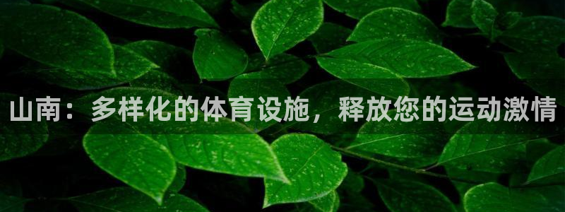 意昂体育3招商电话号码是多少啊：山南：多样化的体育设