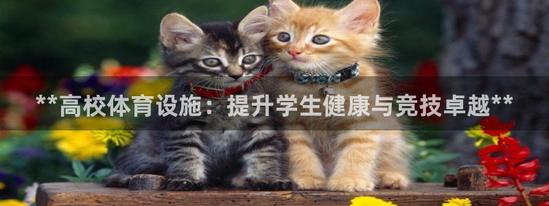 意昂体育3招商电话：**高校体育设施：提升学生健康与