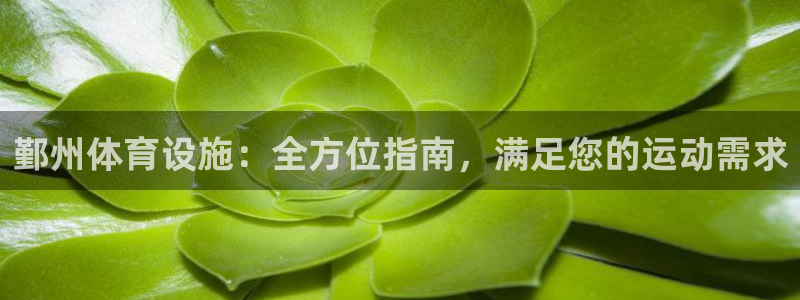 海南意昂体育3：鄞州体育设施：全方位指南，满足您的运