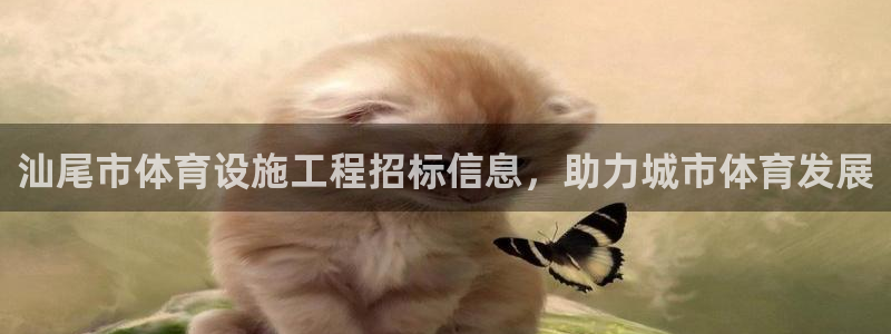 意昂体育3开户：汕尾市体育设施工程招标信息，助力城市