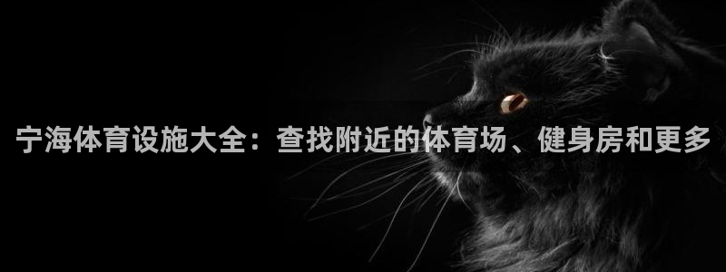 意昂体育3软件：宁海体育设施大全：查找附近的体育场、