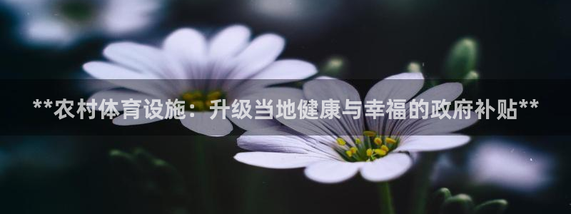 意昂3科技：**农村体育设施：升级当地健康与幸福的政
