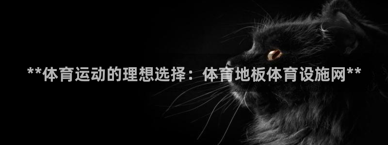 意昂3开户：**体育运动的理想选择：体育地板体育设施