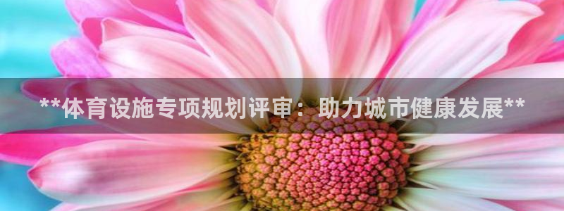 海南意昂体育3发展怎么样：**体育设施专项规划评审：
