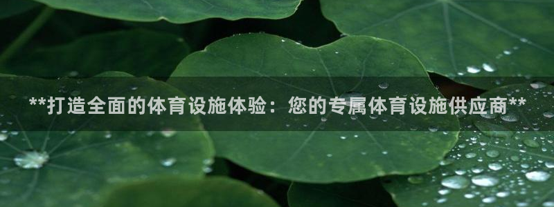 德国意昂3集团：**打造全面的体育设施体验：您的专属体育设施