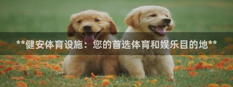 意昂3娱乐代理怎么样：**健安体育设施：您的首选体育
