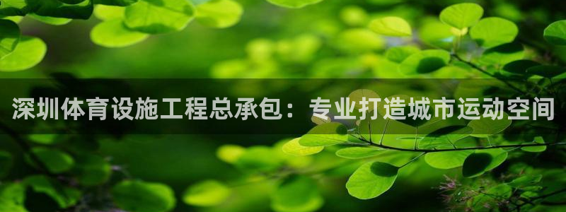 意昂平台体育：深圳体育设施工程总承包：专业打造城市运
